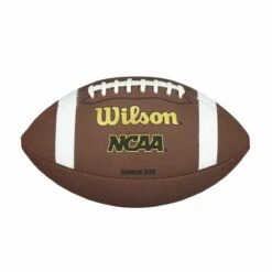 Wilson NCAA TDJ age 9-12 Composite Football
