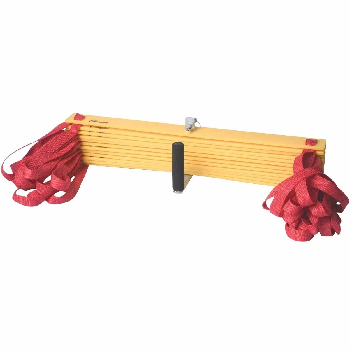 Champion 20' Speed & Agility Ladder, AGLXX 3 Champion 20' Speed & Agility Ladder, AGLXX - Image 3