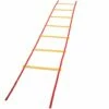 Champion 20' Speed & Agility Ladder, AGLXX